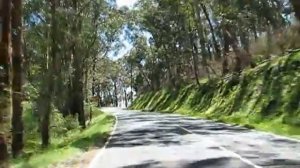 Mt. Dandenong uphill