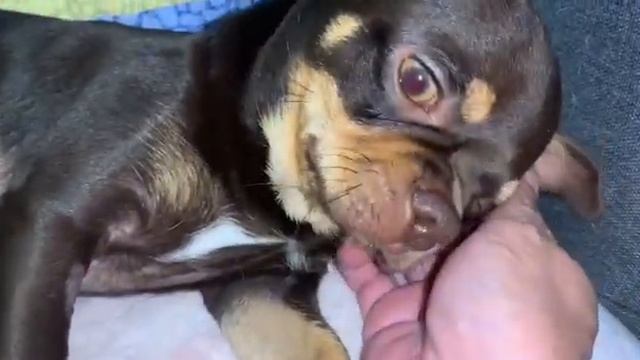 Всем спокойной ночи и самых добрых снов. смотреть онлайн