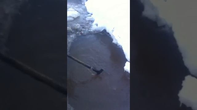 рыбалка на астрагу щуки 1000 кг.самая большая щука