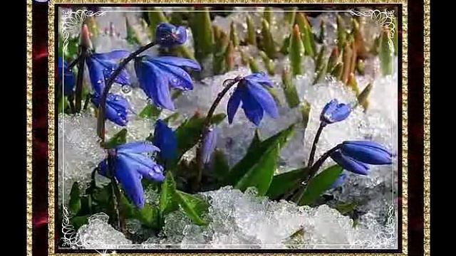 ОЧАРОВАНА, ОКОЛДОВАНА... - Влад НЕЖНЫЙ смотреть онлайн