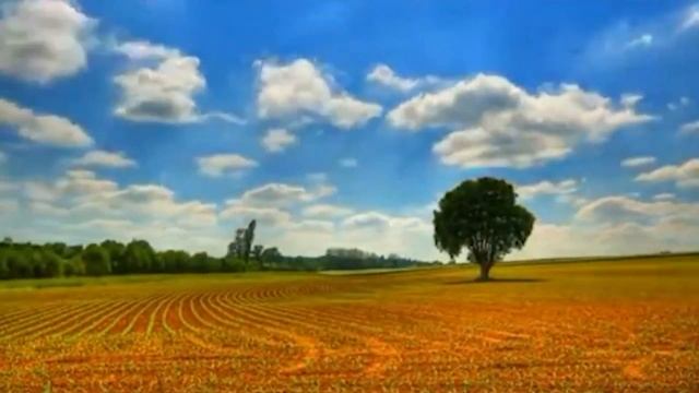 Задивляюсь у твої зіниці (вірш Василя Симоненка читає Дмитро Чекалкін)