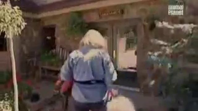 Все о собаках. Самоедская лайка
