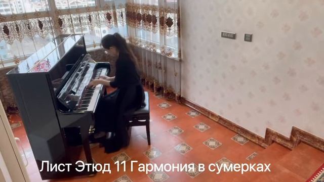 Сунь Юй- Лист Этюд 11 Гармония в сумерках смотреть онлайн