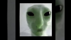 Кот инопланетянин 👽 поёт