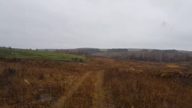 Выбрались на рыбалку за щукой на запрещённый водоём!!! смотреть онлайн