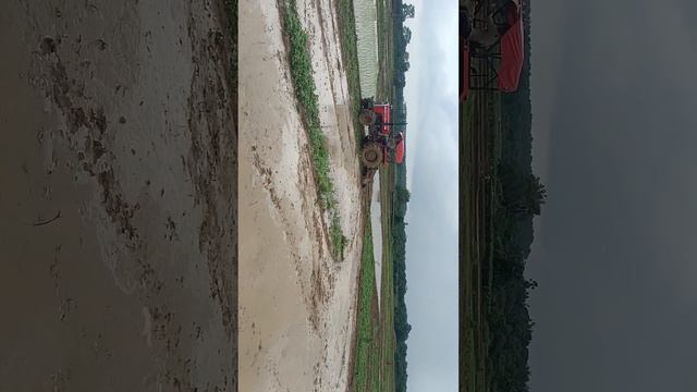 MASSEY246/4x4🚜 lotus 👿#tractor #viral #video смотреть онлайн