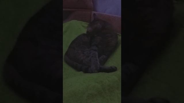 Детям чистота нужна.