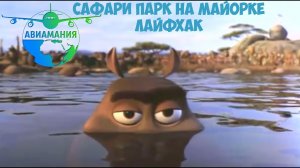 Остров Майорка Сафари парк ЛАЙФХАК #Авиамания