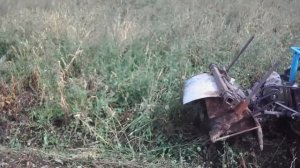 Своими руками.  Мульчер разборный на стандартной сцепке двух рядного окучника в работе! 17год