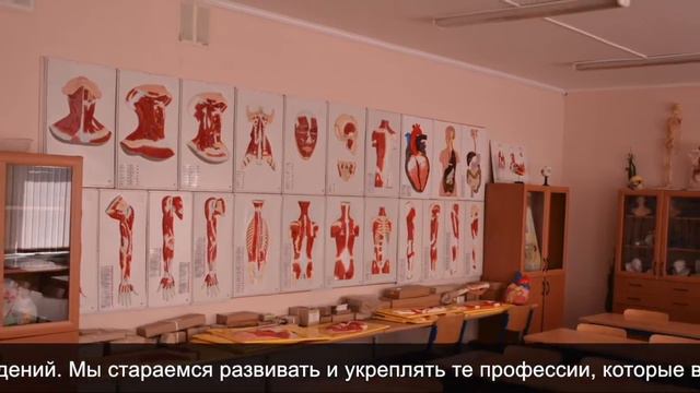 Колледж Подмосковье