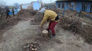 ПИЛИМ ДЕРЕВО / ЗАГОТОВКА ДРОВ / ЖИЗНЬ В ДЕРЕВНЕ