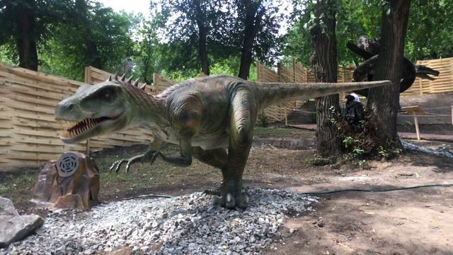 Днепр. «Зелений гай» Развелись динозавры ? смотреть онлайн