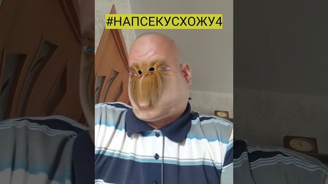 #НАПАСЕККУСХОЖУ4