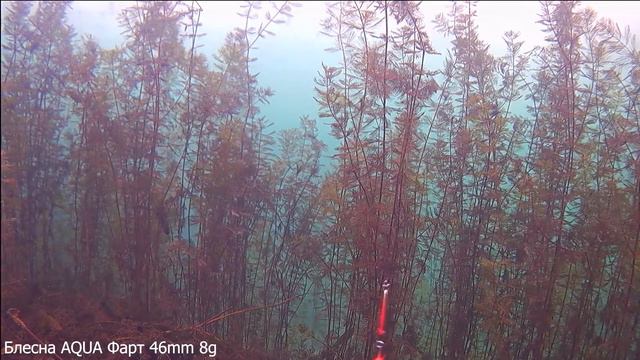 Блесна зимняя AQUA Фарт - игра блесны, подводная сьемка смотреть онлайн