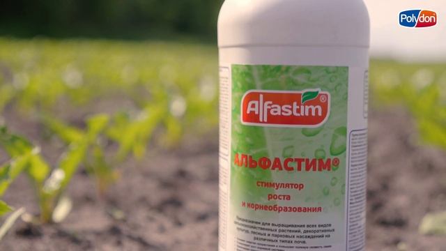 Опыт на сахарной свекле в ООО "Делос" , отделения ООО "Агропродукт" смотреть онлайн