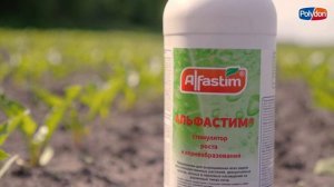 Опыт на сахарной свекле в ООО "Делос" , отделения ООО "Агропродукт"