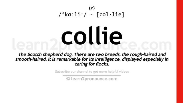 Pronunciation of Collie | Definition of Collie смотреть онлайн