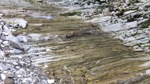 Туапсе. Прогулка по реке Паук до водопада. От улицы Калараша.