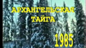 Архангельская тайга 1985