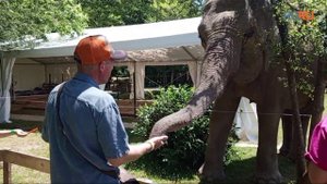 В Сочи открылся единственный в России парк слонов