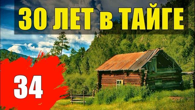 ТАЕЖНАЯ ЧАЩОБИНА ТУПИК ТАЕЖНЫЙ ЗИМОВЬЕ ЛЕСНАЯ ИЗБА ХИЖИНА СУДЬБА  30 лет В ТАЙГЕ РОДНОЙ ДОМ 34