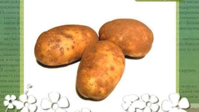 Зеленая передача с моим участием. Алексей Агапов г.Челябинск смотреть онлайн