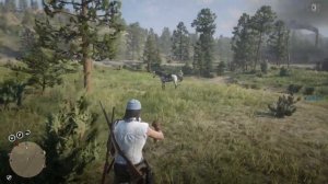 RDR 2 online как быстро прокачать роль коллекционера