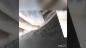 Снятие задней балки Шкода Рапид (Skoda rapid)
