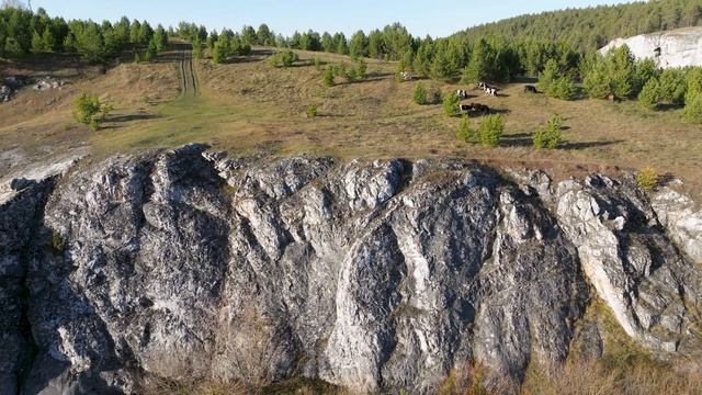 Природа Урала, село Арамашево - проект "Новая высота"