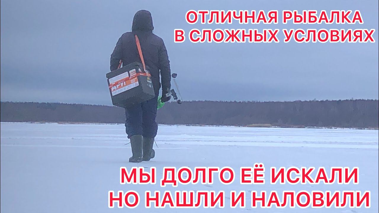 ИСКАЛИ рыбу ПОЛ ДНЯ и НАШЛИ / РЫБАЛКА на МОЖАЙСКОМ Водохранилище смотреть онлайн