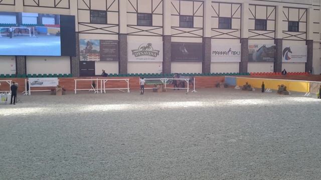 Выставка "Конная Россия ".РУССКИЙ КНЯЗЬ ВЛАДИМИР жеребец 4 года смотреть онлайн