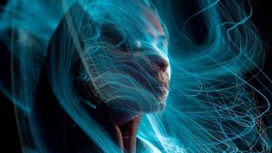 Телец в год Петуха - характер