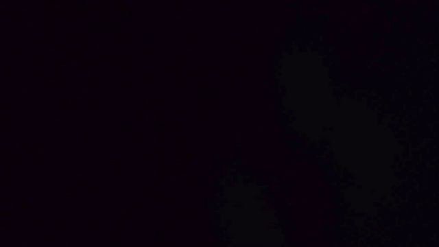 В объектив видеоловушки попала росомаха