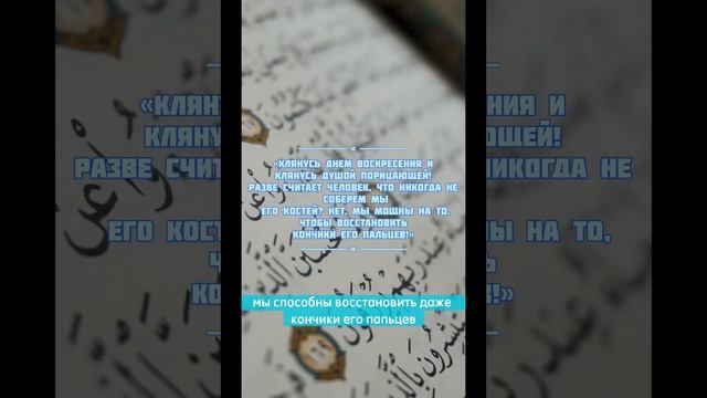 Отпечаток пальца чудо корана !#популярное смотреть онлайн
