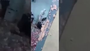 Пенная вечеринка! Только пену перепутали. Пьяные люди разбрызгивают на друг друга строительную пену