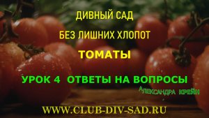 ТОМАТЫ Часть 1. Урок 4. ОТВЕТЫ НА ВОПРОСЫ