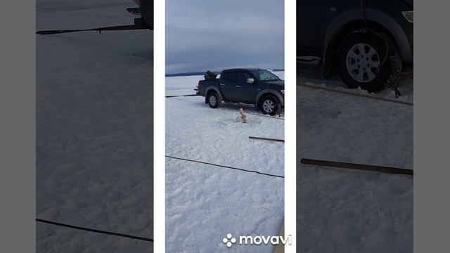 8 января 2023 г. смотреть онлайн