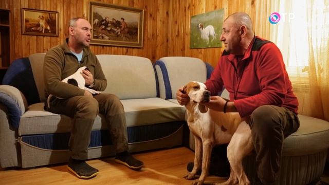 АНГЛИЙСКИЙ ПОЙНТЕР смотреть онлайн