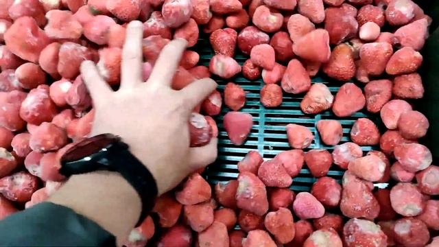 Правильная заморозка клубники IQF заморозка смотреть онлайн