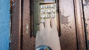 Домофон VIZIT БВД343R