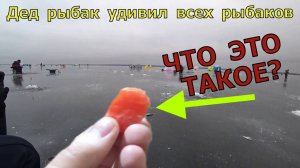 Безумная Деда насадка для рыбалки. Тесто для рыбалки 2023