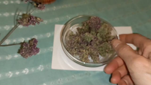 Пью Этот Чай и Давно Ничем Не Болею! Чистые Сосуды, Давление и Холестерин в Норме! Фитотерапия