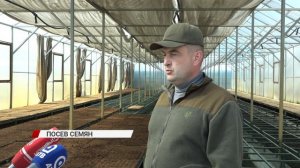 В Бурятии стартовал посев семян сосны