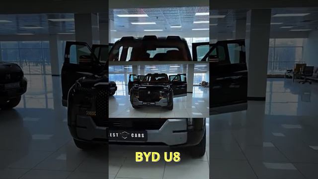 5 Byd U8