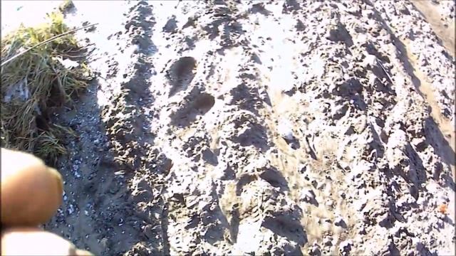 Коп на Дону 2019 с друзьями.Search for lost artifacts on the banks of the don river смотреть онлайн