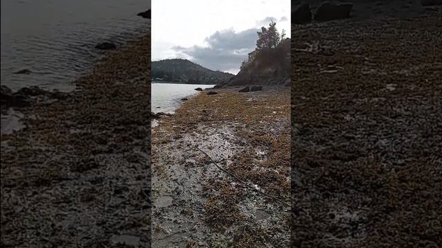 в середине июня ещё холодно на Аляске, играемся в воде с подругой смотреть онлайн