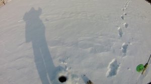 Ловля СУДАКА зимой на РАТТЛИН (VIB) | ЗИМНЯЯ РЫБАЛКА 2021!