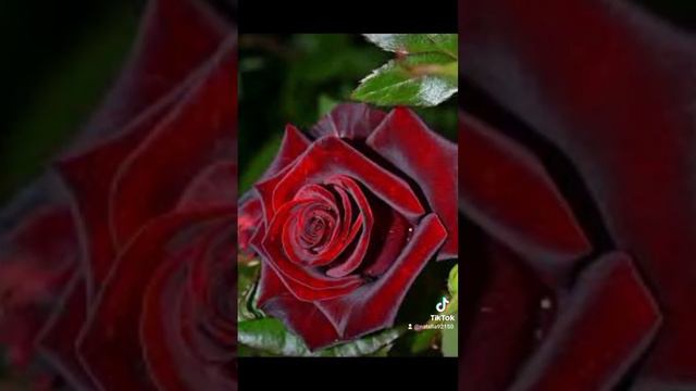 С последним днем зими ❄️ А завтра уже весна 🌤️ смотреть онлайн