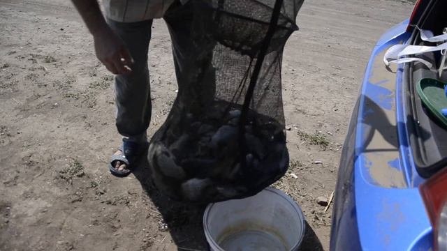 Рыбалка в Урзуфе на день рыбака 14-15.07.13г (часть 2) смотреть онлайн