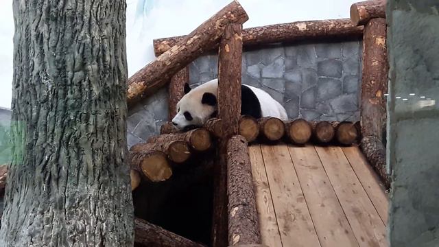 8 января 2020 г. смотреть онлайн